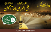 شہزادہ علی اکبر بن امام حسین
