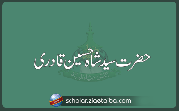 علامہ سید شاہ حسین قادری