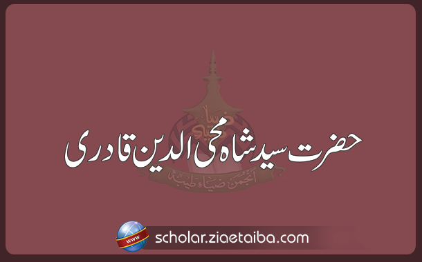 سید شاہ محی الدین قادری