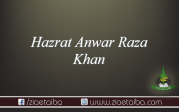 حضرت انوار رضا خان