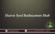 حضرت سید بدیع الزمان شاہ