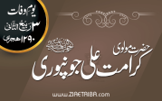 حضرت مولوی کرامت علی جونپوری