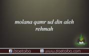 حضرت مولانا قمر الدین علیہ الرحمہ