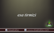 حضرت عیسی ترمذی