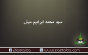 سید محمد ابراہیم میاں