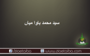 سید محمد باوا میاں
