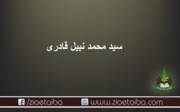 سید محمد نبیل قادری