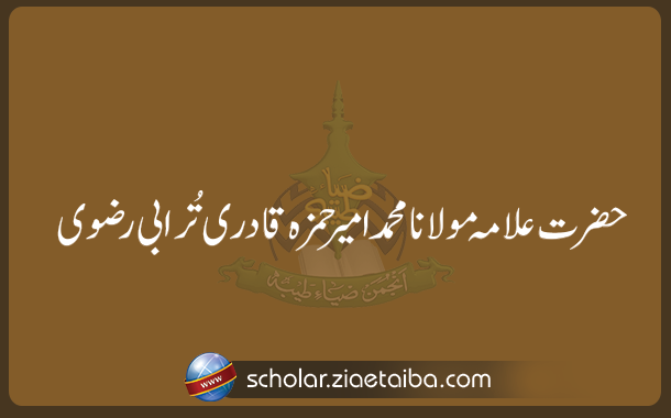 علامہ امیر حمزہ قادری ترابی