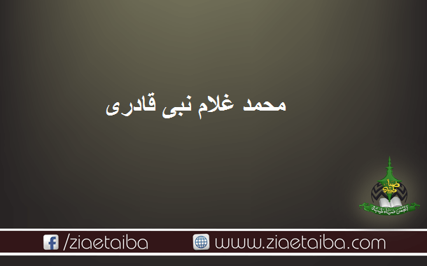 غلام نبی قادری