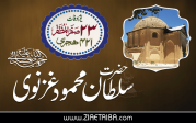 سلطان محمود غزنوی