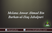 مولانا انوار احمد