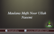 مولانا مفتی محمد نوراللہ نعیمی