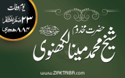 شیخ محمد مینا لکھنوی