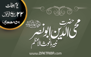  محی الدین ابو نصر بن غوث الاعظم