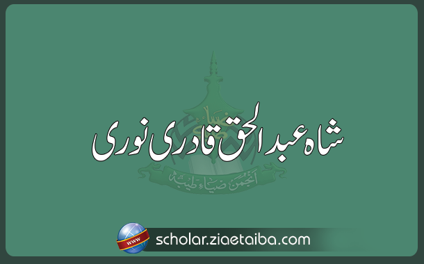 علامہ شاہ عبد الحق قادری نوری