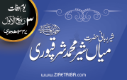 حضرت میاں شیر محمد  شرقپوری
