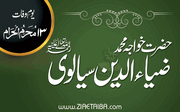 خواجہ محمد ضیاء الدین سیالوی