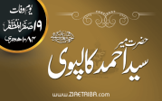 علامہ سیداحمد کالپوی