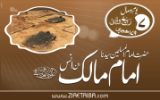 امام مالک بن انس