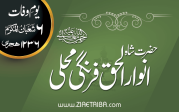 حضرت مولانا شاہ انوار الحق فرنگی محلی رحمۃ اللہ  علیہ