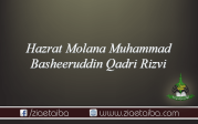 مولانا محمد بشیر الدین رضوی بنگالی
