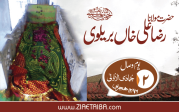مولانا رضا علی خاں