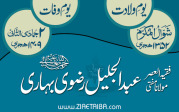 حضرت مولانا  مفتی عبدالجلیل رضوی بہاری