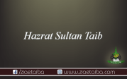  حضرت سلطان طیب