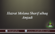    حضرت مولانا مفتی محمد شریف الحق امجدی رحمۃ اللہ علیہ