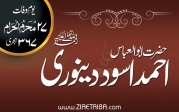 ابوالعباس احمد اسود دینوری