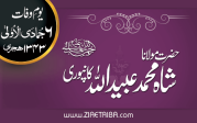 حضرت مولانا شاہ محمد عبید اللہ کانپوری