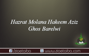 حضرت علامہ مولانا حکیم عزیز غوث بریلوی