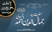 حضرت سید جمال الدین احمد ہانسوی
